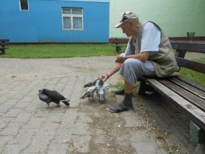 Активности после ручка, Кула 16.06.2015. год.